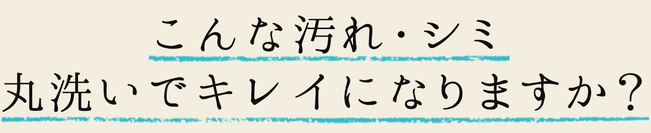 こんな汚れ・シミ丸洗いでキレイになりますか？